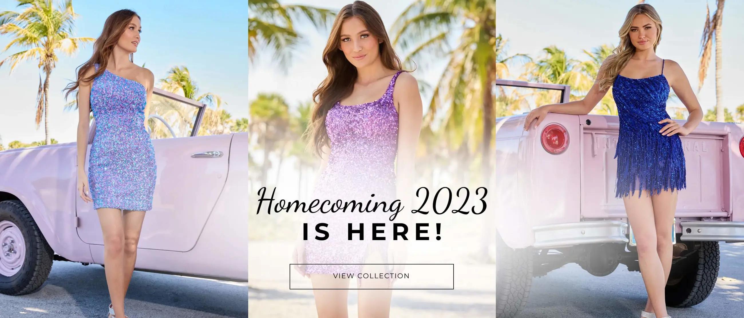 Homecoming Fall 2023 collection Banner for Desktop