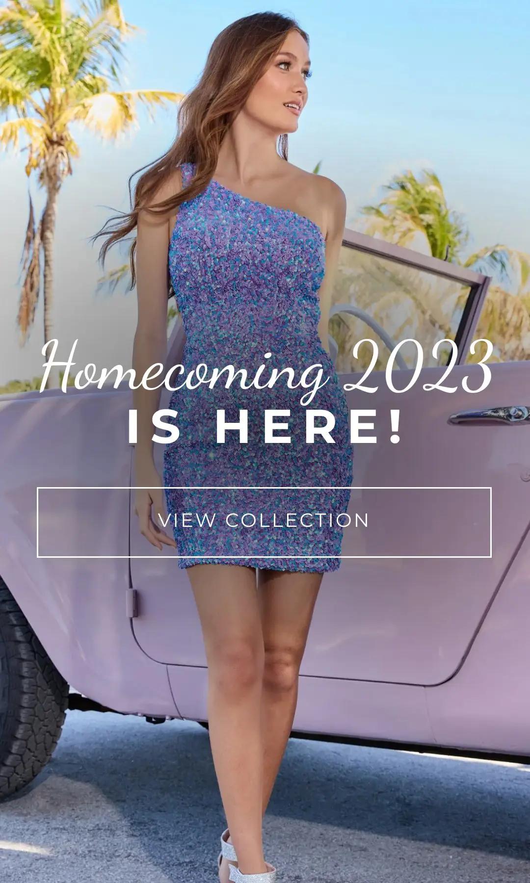 Homecoming Fall 2023 collection Banner for Mobile